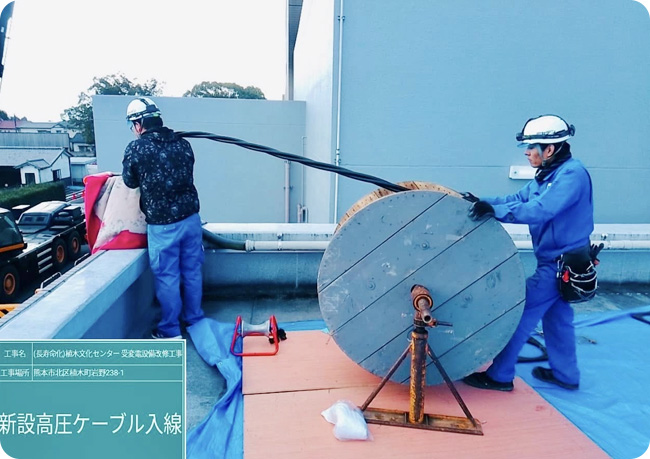 幅広いフィールドで活躍する
