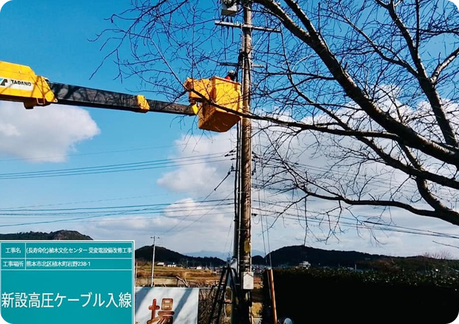 幅広いフィールドで活躍する