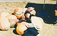 平成9年11月2日撮影：バスハイク